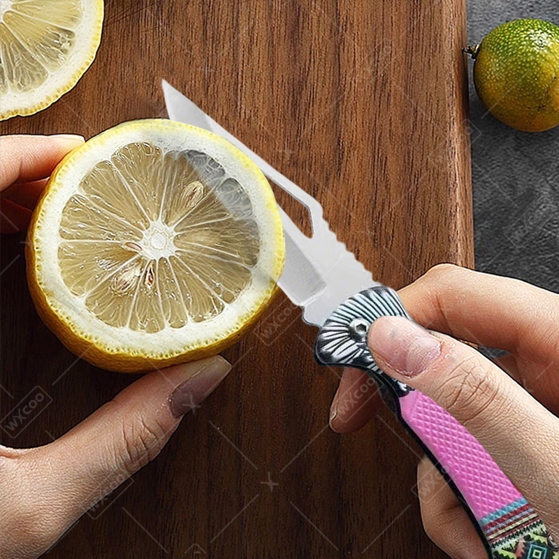 WXCOO Folding Knife Stainless  - Kitchen Handy Gadgets avis et prix
