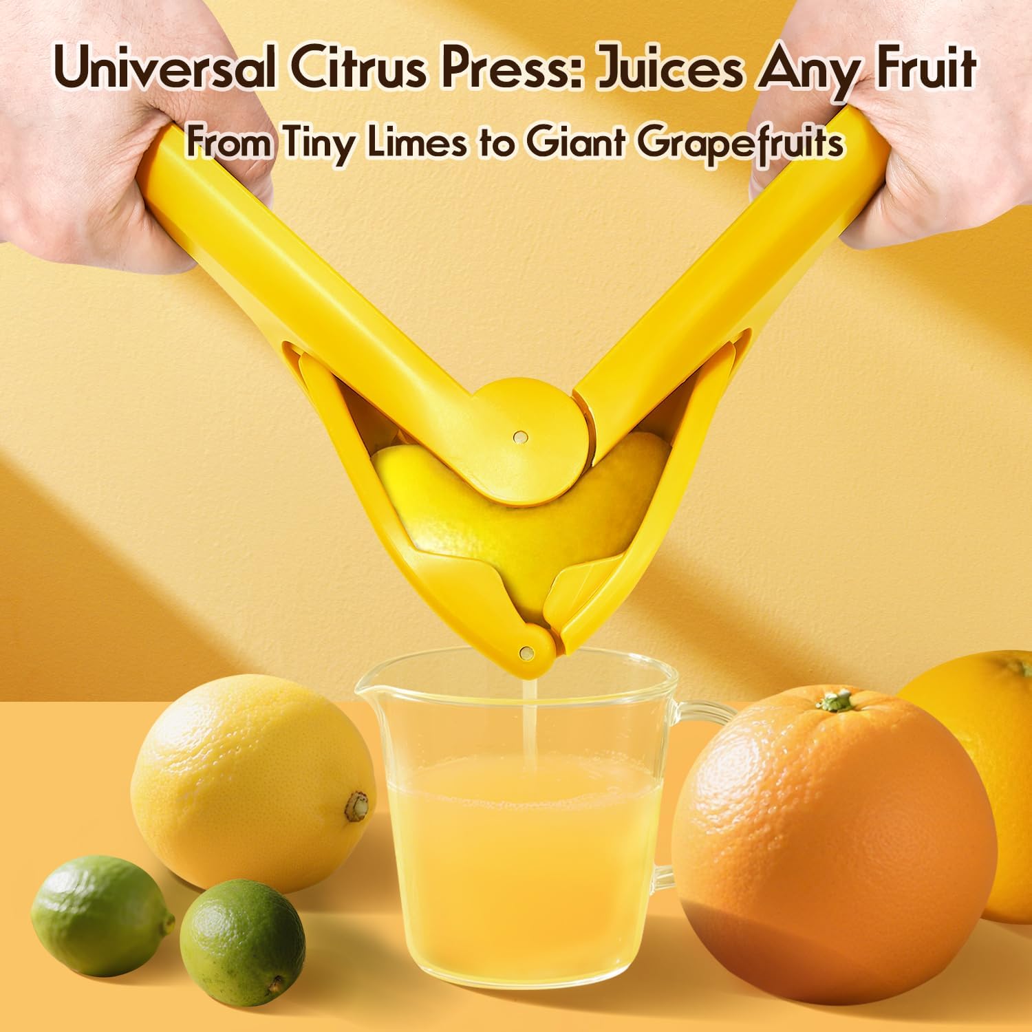 Manual Lemon Squeezer, Easy to - Citrus Lemon Squeezer avis et prix