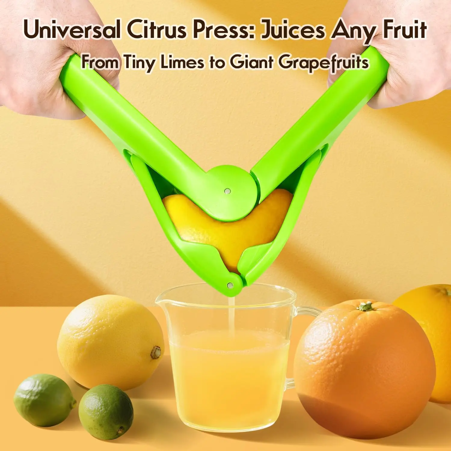 Green Manual Lemon Squeezer, E - Citrus Lemon Squeezer avis et prix
